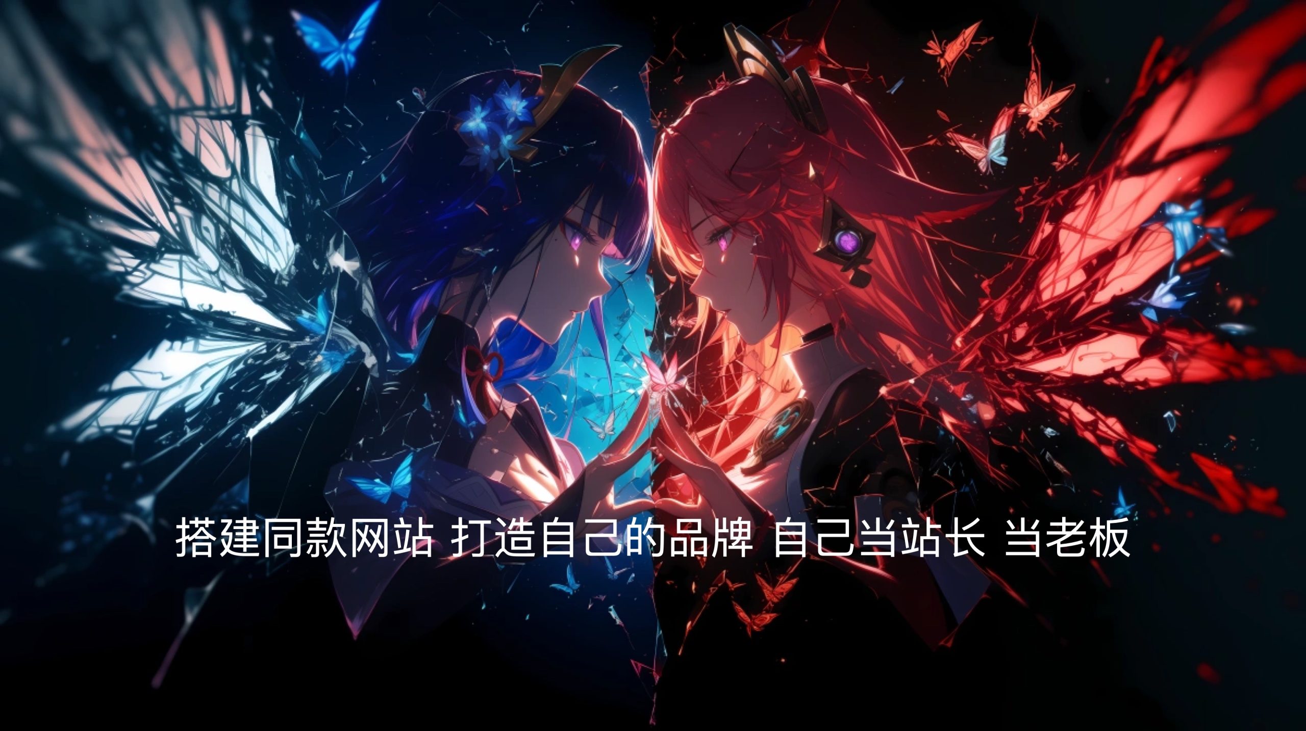 网创资源&实战项目 全网首发全年365天更新