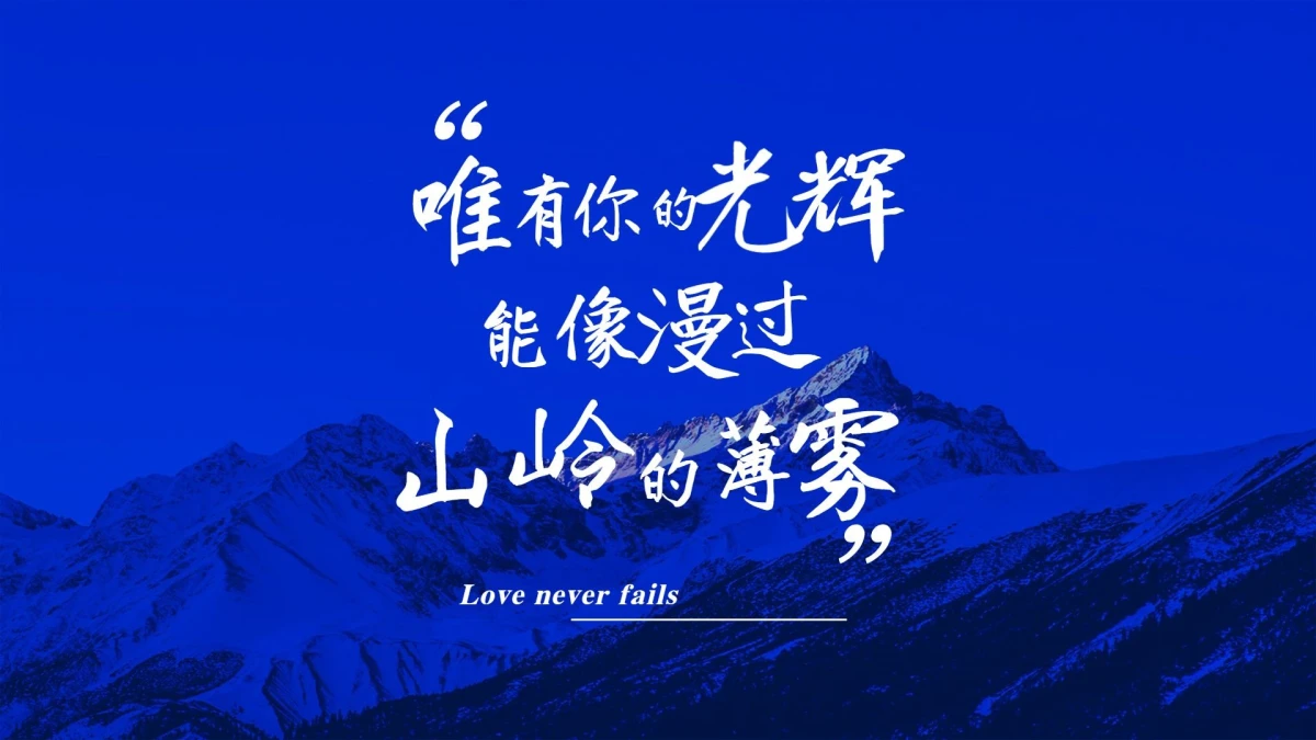 网创资源&实战项目 全网首发全年365天更新