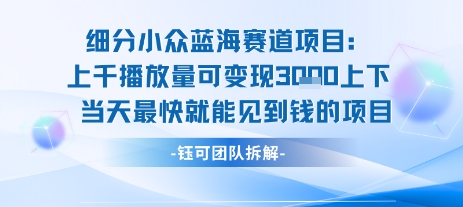 小众蓝海赛道项目:当天变现1k+适合新手操作 +适合长期玩-镰火网