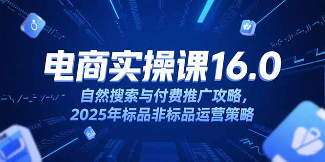 淘宝电商运营课16.0,自然搜索与付费推广攻略,2025年标品非标品运营策略-镰火网