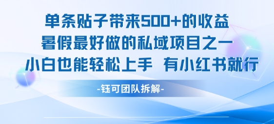 单条贴子带来5张的收益，暑假最好做的私域项目之一，小白也能轻松上手，有小红书就行-镰火网