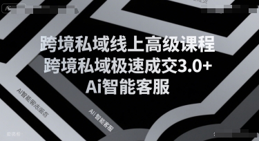 跨境私域线上高级课程，跨境私域极速成交3.0+Ai智能客服-镰火网