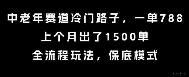 中老年赛道冷门路子,一单788,上个月出了1500单,全流程玩法,保底模式【揭秘】-镰火网