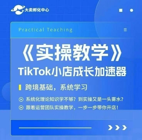大卖家孵化中心TikTok实操课,TikTok小店成长加速器,跨境基础系统学习,一步一步带你开店-镰火网