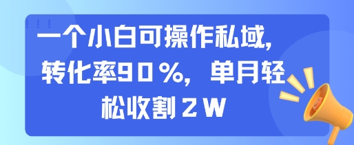 一个小白可操作私域,转化率90%,单月轻松收割2W-镰火网