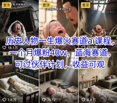 历史人物一生爆火赛道ai课程,一个月爆粉40w,蓝海赛道,可过伙伴计划,收益可观-镰火网