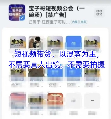 宝子哥头部团队短视频带货，以混剪为主，不需要真人出镜，不需要拍摄【更新6月】-镰火网